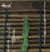 Zercumm Whole Rosemary Midi Xiang Lost Town Barbecue Baking Seasoning Western Food Ingredients