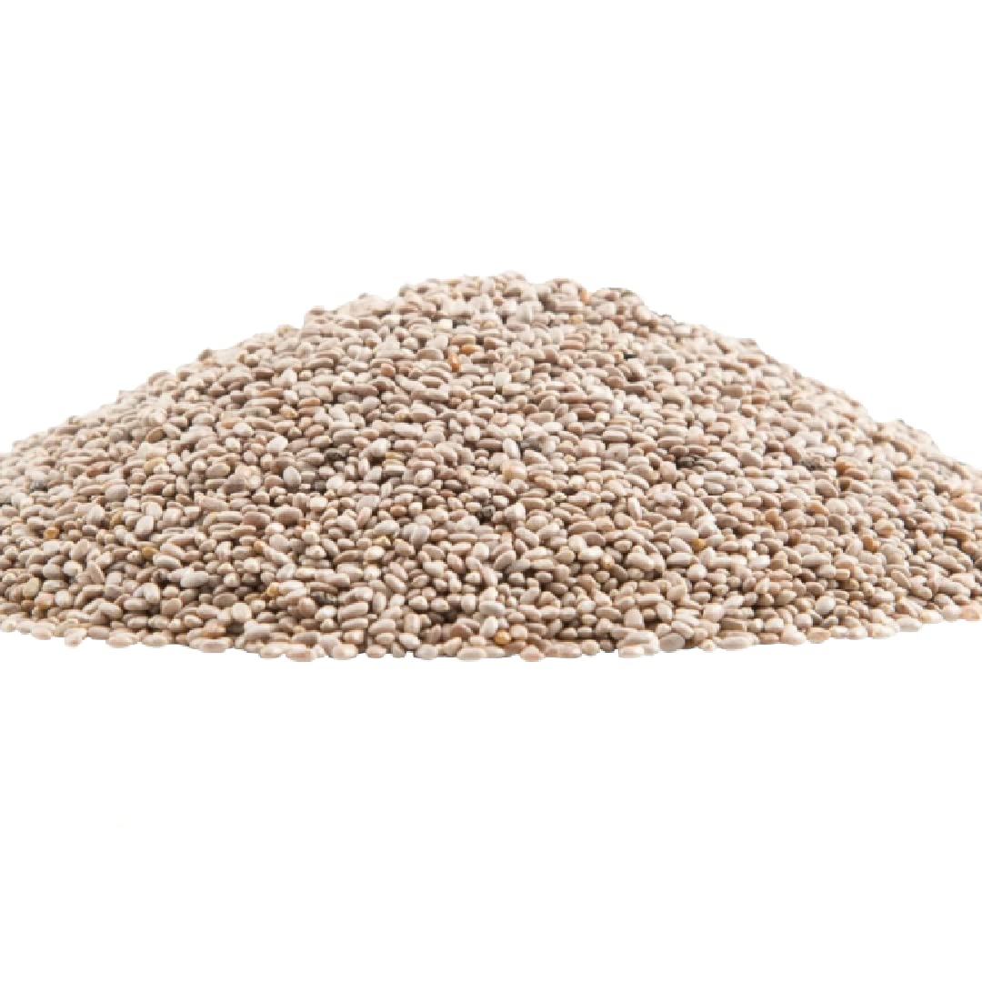 Gerbs Raw White Chia Seeds 4 lbs. | Small-Batch Packed in Resealable Bag, No Artificial Additives | Mildly Nutty Flavor, Ideal for Yogurt, Oatmeal