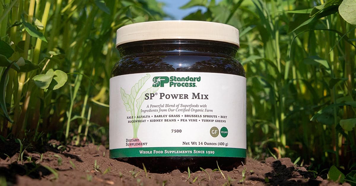 Standard Process Inc. SP Power Mix, Plant-based Superfood Powder, 14 oz, 30-Day Supply
