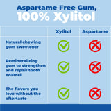 Epic 100% Xylitol Peppermint Chewing Gum - Sugar Free, Aspartame Free Dental Gum - Supports Oral Health & Fresh Breath - 12 Pieces (Pack of 12)