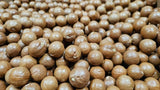 Macadamia Nuts - Raw In shell (whole) Medium size (3 LB)