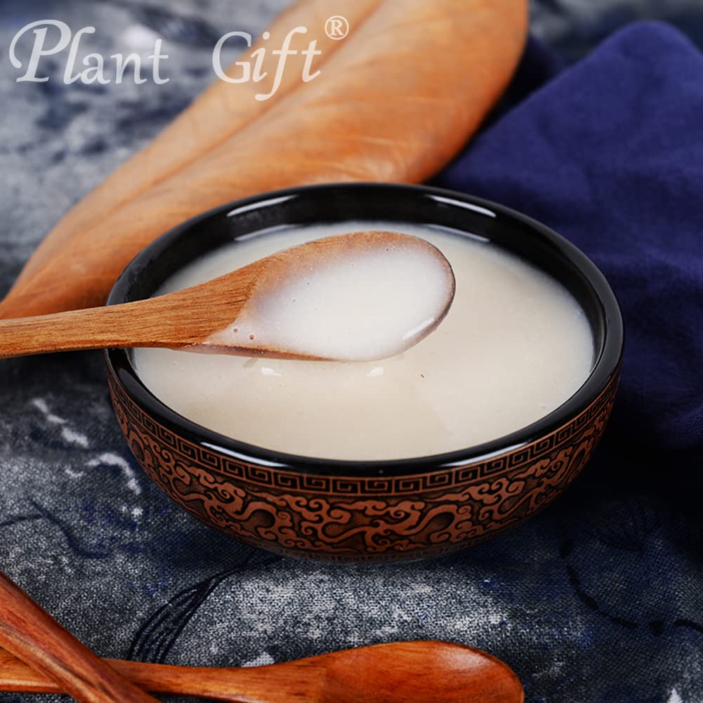 Plant Gift 100% Pure Brown Rice Powder ??? Natural Brown Rice Flour, Great Flavor for Drinks | Adds Flavor and Taste, Non-GMO Powder, No Filler, No