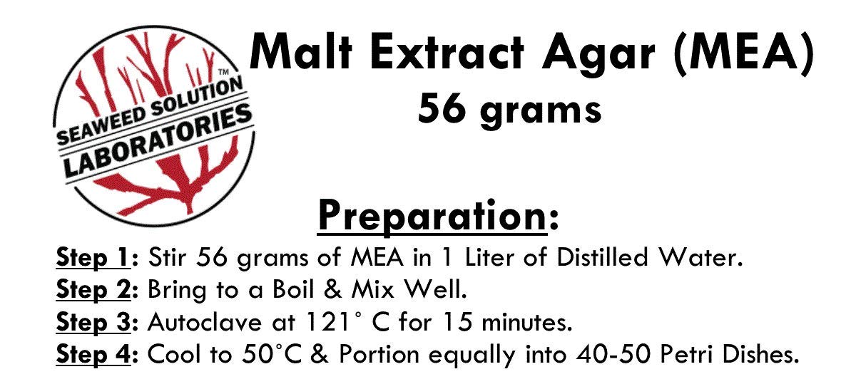 Malt Extract Agar (MEA) 56 grams