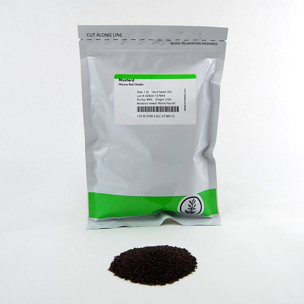 Mountain Valley Seed Co Mizuna Mustard Seeds 1 Lb Non-GMO Japanese Mustard