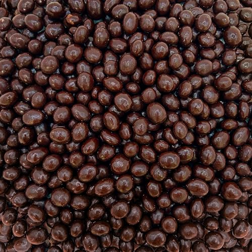 Premium Dark Chocolate Covered Espresso Coffee Beans Candy (1 Pound Bag)