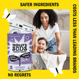 Molly's Suds Original Laundry Detergent Powder | Clean Laundry Detergent Powder for Sensitive Skin | Simple, Effective Ingredients, Stain Fighting |
