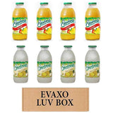 Evaxo Mango, Pina Colada Juice Variety Pack, 8 Count, 16 oz. Each, Box