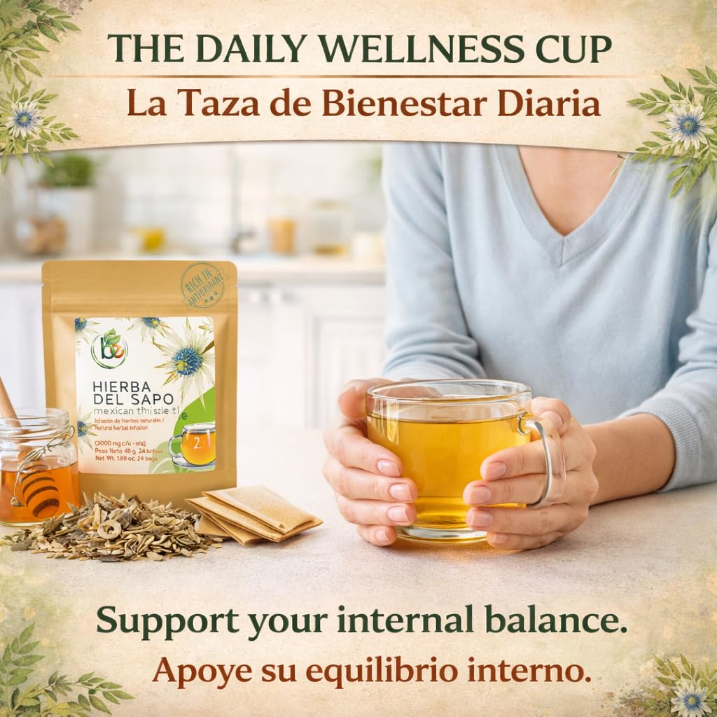 Hierba del Sapo Mexican Herbal Tea - 24 Premium Tea Bags (2000mg per Bag) - Authentic 100% Natural Mexican Thistle (Eryngium heterophyllum)