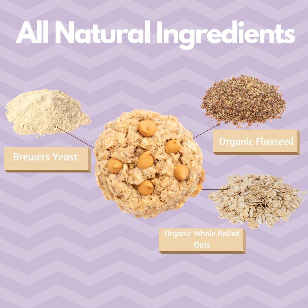 MilkBliss Peanut Butter Chip Lactation Cookie Mix- Oatmeal Breastfeeding Cookie Supplement Support for Milk Supply Increase 15 oz