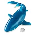 Giant Gummy Shark 18 oz.