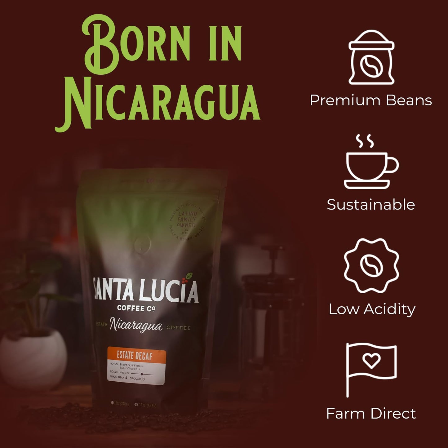 Santa Lucia Coffee - Nicaraguan Estate Decaf Roast - Low Acid, 91 Point, SHG, Small Batch Roasted, Farm Direct, 100% Single-Origin Whole Bean, 1 Bag