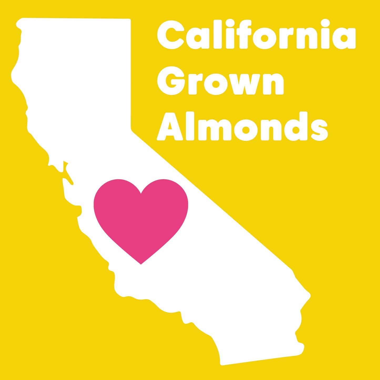 Wilderness Poets, Organic Blanched Almonds - Whole, California-Grown Almonds with No Skins, Unsalted - 2 Pound (Pack of 1)