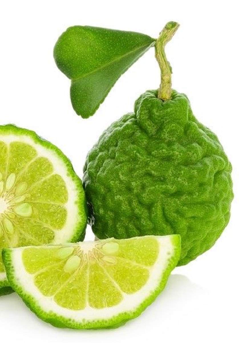 Naturals-n-Organics Organic Bergamot Citrus Earl Grey Tea with Natural Italian Bergamot Oil for Autophagy and Detox, 24 Bio-degradable Pyramid Tea