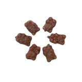 Milk Chocolate Covered Gummy Bears, 1 Pound Bulk Bag, Chocolate Candy, Gummy Bears, The Hampton Popcorn & Candy Company