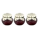 D'arbo Wild Lingonberry Sauce - Premium Fruit Spread, 21.1 oz Jars (600g) - Authentic Austrian Recipe, Ideal for Meats, Cheeses & Desserts | Pack of 3
