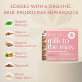 Boobie Superfood Oatmeal Chocolate Chip Cookie Lactation Bar for Breastfeeding Moms to Increase Milk Supply | #1 Selling Lactation Snack Bars | Vegan