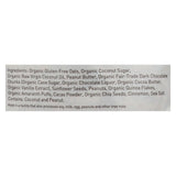 PURELY ELIZABETH, Nut Butter Granola,Chocolate Sea Salt and Peanut Butter, Pack of 6, Size 10 OZ - No Artificial Ingredients Dairy Free Gluten Free