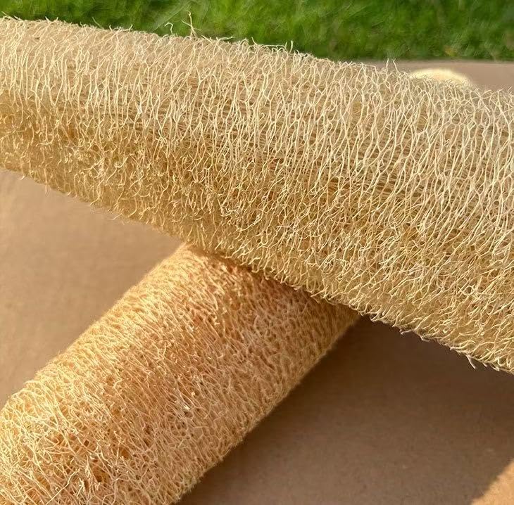 VEROMOVE Extra Long Natural Loofah Sponge, Dried Luffa Shower Sponge, Cut-to-Size Plant Fiber Body Scrubber for Exfoliating