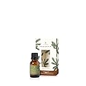 Thymes Frasier Fir Laundry Fragrance Oil for Dryer - Scented Laundry Supplies (0.5 fl oz)