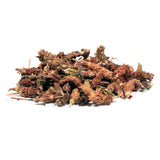 Hapsmiley Wild Prunella Spike Dried (xia ku cao/???), Self Heal (Prunella vulgaris L), Bulk (Cut and Sifted), Natural 100% Health Tea (2 Oz / 60g)