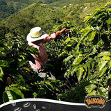 Yaucono Coffee Medium Roast Ground, Arabica, 14 Ounce (Pack of 2)
