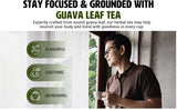 Guava Tea Bags, Dried Tender Leaves Tea, 30 Count, Pleasant Taste, Caffeine Free (Pack of 1)