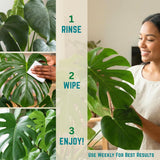 Houseplant Leaf Shine & Cleaner Wipes | Removes Dust, Dirt & Water Spots for Healthier, Glossy Leaves | Easy-to-Use Natural Leaf Cleaning Wipes