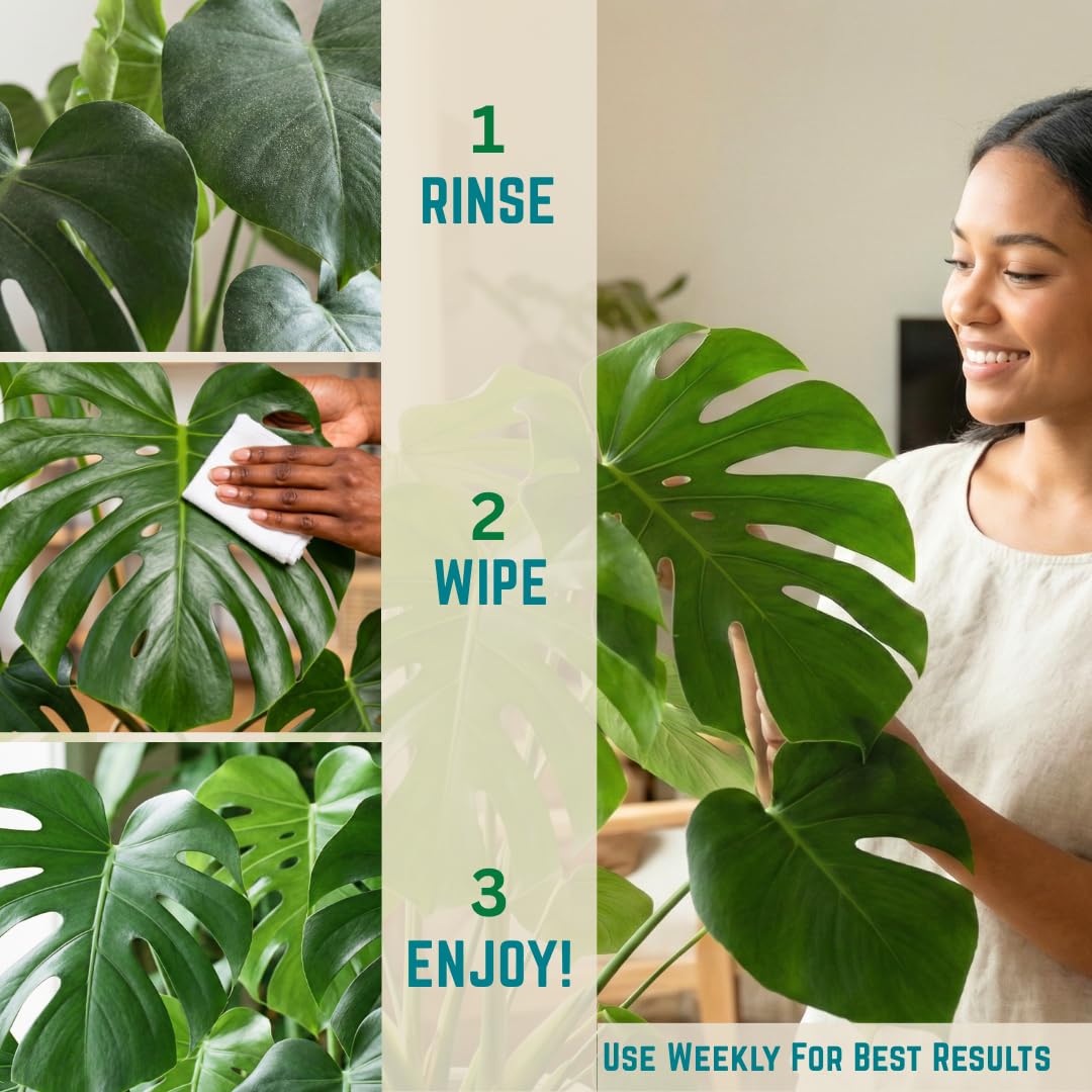 Houseplant Leaf Shine & Cleaner Wipes | Removes Dust, Dirt & Water Spots for Healthier, Glossy Leaves | Easy-to-Use Natural Leaf Cleaning Wipes