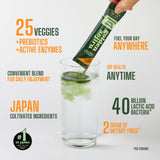 NIHON YAKKEN Golden Aojiru Green Superfood Powder - Japanese Barley Grass Juice with 25+ Vegetables, Prebiotic & Enzymes - Gluten Free, Green Juice