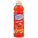 Tropical Fantasy Fruit Punch Juice Cocktail, Fruit Punch, 22.5 Fl Oz