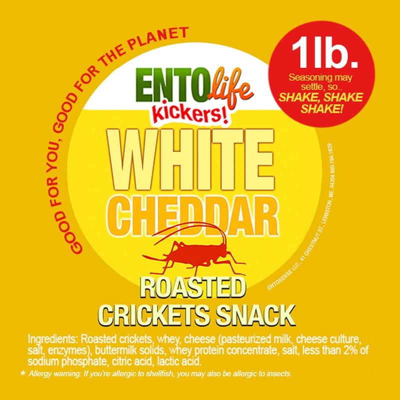 White Cheddar Flavored Edible Crickets - Pound Size - Pound Size - Crickets you can eat - Farm raised for human consumption, 16 Ounce