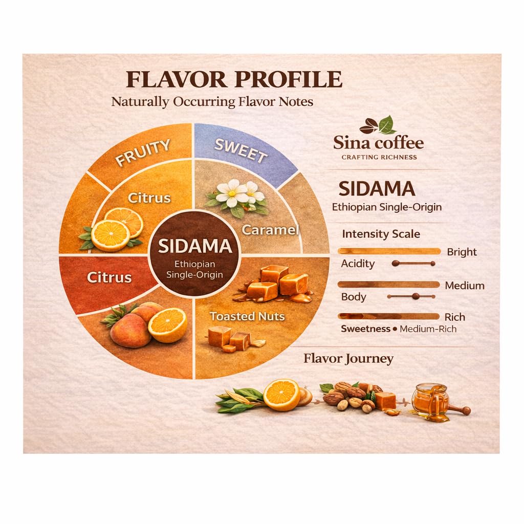 SINA COFFEE Premium 100% Arabica Ethiopian Coffee - Sidama Single Origin Medium Roast Whole Bean Coffee - 12oz Freshly Roasted”