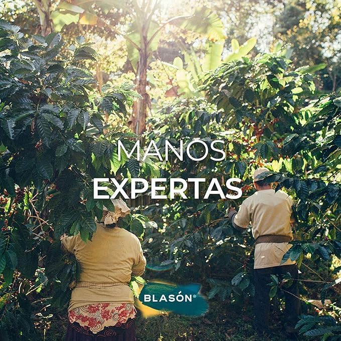 Blason Jaltenango Chiapas Ground Coffee 12 Ounces [2 Pack], Resealable Bags