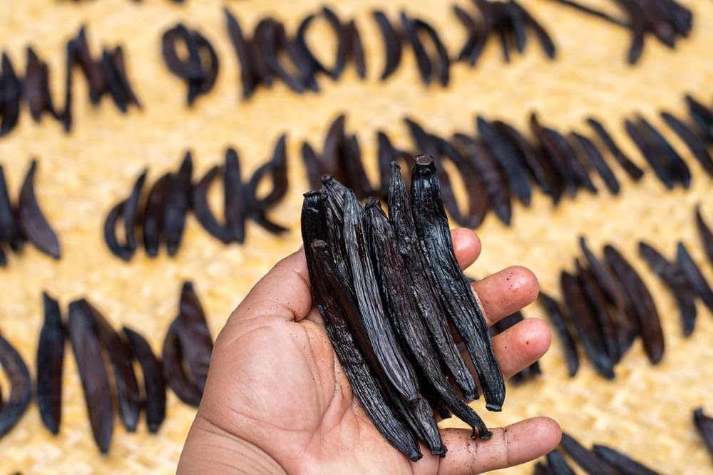 5 Guatemalan Vanilla Beans Whole Grade A Vanilla Pods for Homemade Vanilla Extract, Baking, Ice Cream, Flavoring, & Vanilla Powder