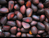 Siberian Green Food Unpeeled Pine Nuts 1000gr/35.3oz/2.2lb