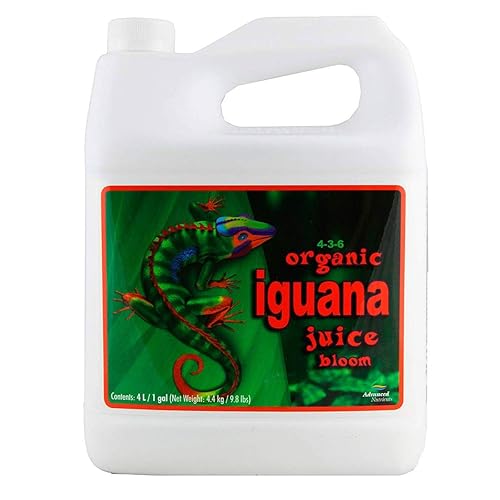 Iguana juice organic bloom