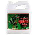 Iguana juice organic bloom