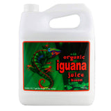Iguana juice organic bloom