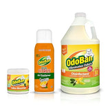 OdoBan Aroma Eliminator Set, Made in the USA, 10 Ounce Natural Oil Real Citrus Orange Air Freshener Spray, 1 Gallon Multipurpose Disinfectant Cleaning
