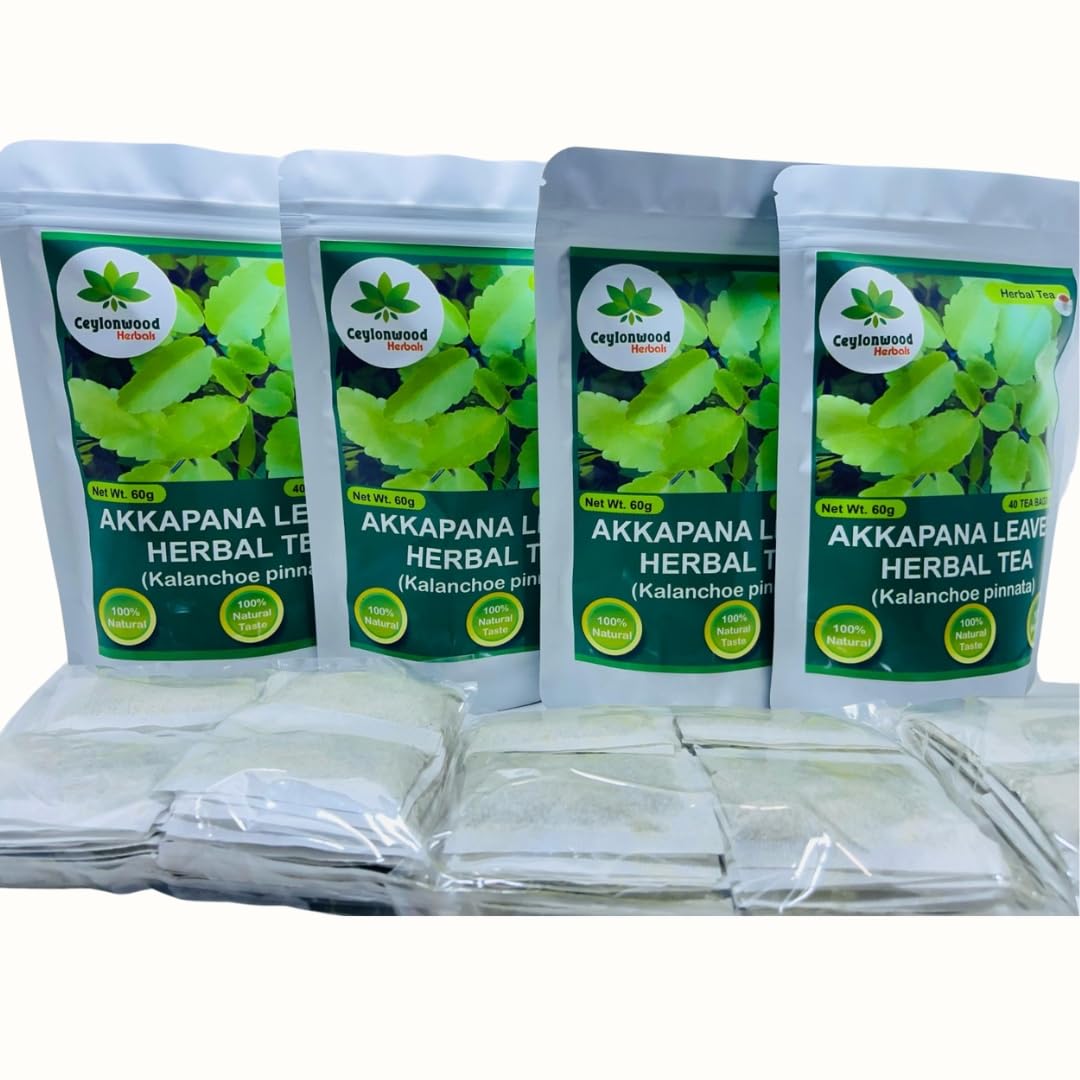 Organic Kalanchoe pinnata Leaves Tea, miracle leaf air plants Bryophyllum Pinnatum Herbal Tea, 40 Tea Bags/ 1.5g