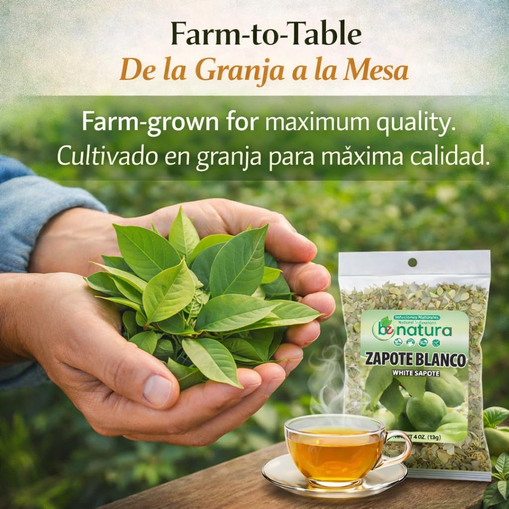 Zapote Blanco Herbal Tea 4 oz (113g) - 100% Natural White Sapote Leaves from Mexico - Traditional Loose Leaf Tea - Caffeine-Free, Non-GMO, Vegan