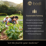 bodi : Kola Nut Powder | 5oz to 5lb | 100% Pure Natural Hand Crafted (5 Oz)