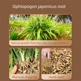 Ophiopogon Herb | Mai Men Dong Chinese Herb | Ophiopogon japonicus - Tonifies & Nourishes Yin and Moistens Lungs | #1 Pure, Medicinal Grade Chinese