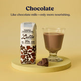 Lucille Meal Replacement Shake - Chocolate, High Protein Drink for Adults & Seniors, 20g Protein & 6g Fiber, 240 Cal, Lactose Free and Gluten Free, 8