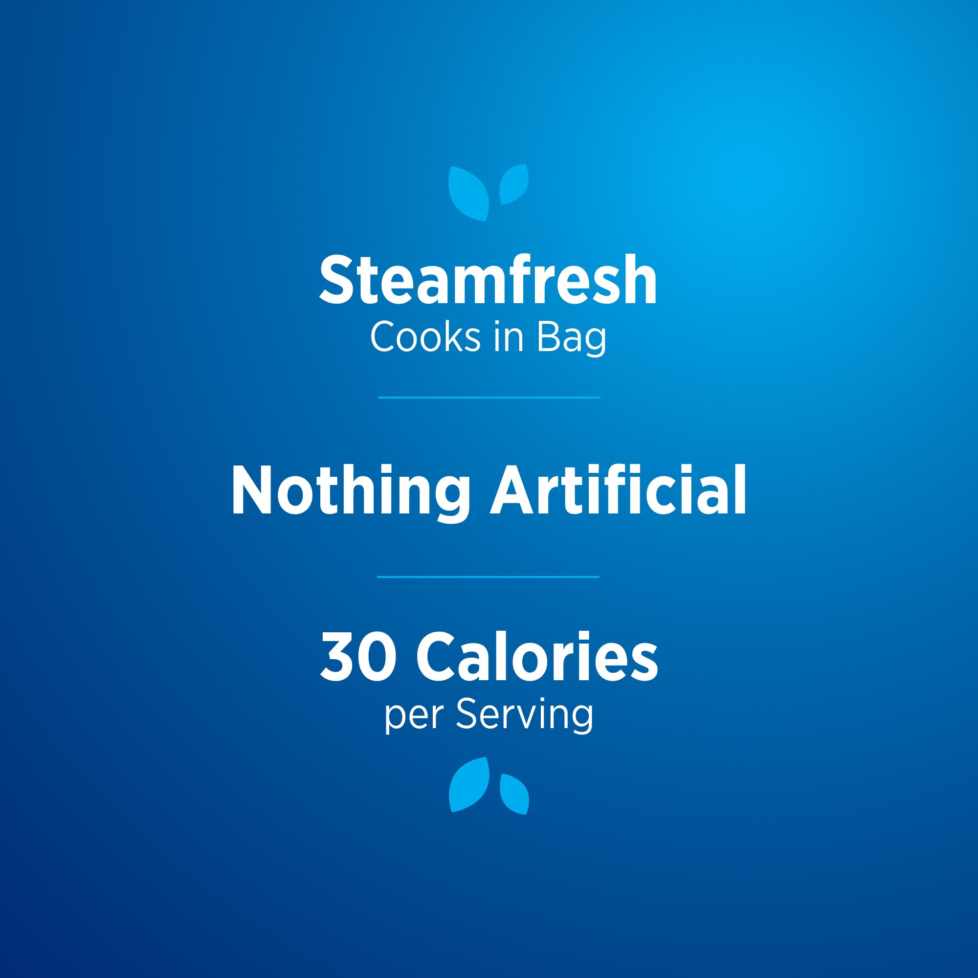 Birds Eye Steamfresh Whole Green Beans Frozen Vegetable, 10.8 OZ