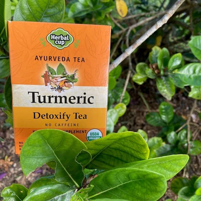 Herbal Cup Ayurveda Turmeric Tea, Organic Detoxify, No Caffeine Herbal Teas (Turmeric Detoxify, 16 Count (Pack of 6))