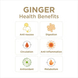 The Ginger People, Sauce Dipping Sweet Ginger, 12.7 Fl Oz