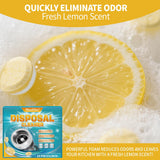 Garbage Disposal Cleaner and Deodorizer Tablets 24-Pack,Septic Safe Sink and Drain Foaming Clean Tablets,Quickly Eliminates Odors,Powerful Foaming