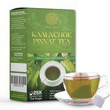Kalanchoe Pinnata Herbal Tea Bags (25 Count) - Pure Leaf Tea, Naturally Dried, Caffeine-Free Botanical Infusion, Premium Quality Herbal Tea