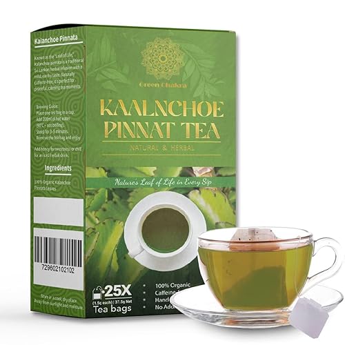 Kalanchoe Pinnata Herbal Tea Bags (25 Count) - Pure Leaf Tea, Naturally Dried, Caffeine-Free Botanical Infusion, Premium Quality Herbal Tea
